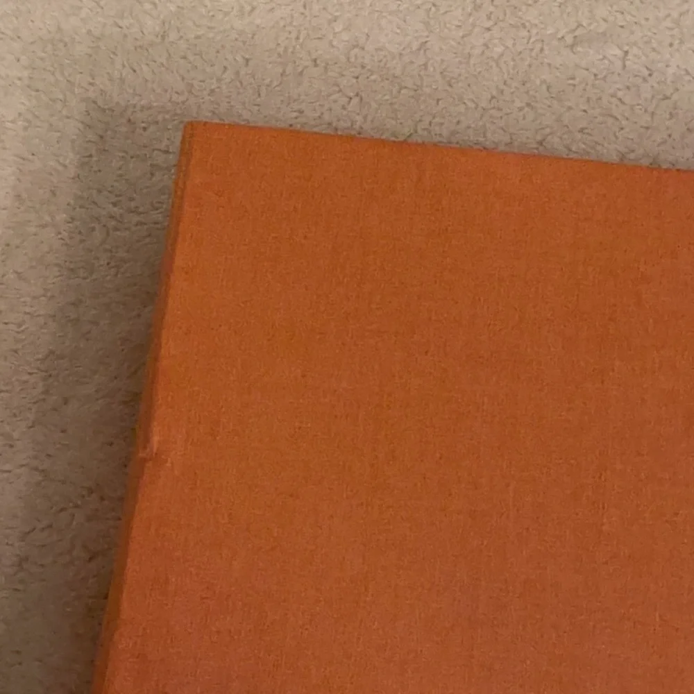 12x8x2,25 Louis Vuitton magnetic closer orange color  used